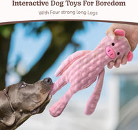 No Stuffing Dog Toys 5 Pack, Crinkle Interactive Dogs Toy for Boredom, Puppy Toys for Teething to Keep Them Busy, Cute Squeaky Dogs Toy for Small, Medium, and Large Breed | Puppy Toys for Teething to Keep Them Busy, Cute Squeaky Dogs Toy for Small, Medium, and Large Breed