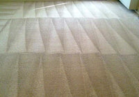 Capture Spot and Stain Remover Carpet - Dirt, Juice, Coffee, Wine, Food And