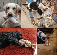 No Stuffing Dog Toys with Squeaker, Durable Dog Chew Toys, Small Dogs & Puppies, Rabbit & Elephant