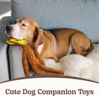 No Stuffing Dog Toys 5 Pack, Crinkle Interactive Dogs Toy for Boredom, Puppy Toys for Teething to Keep Them Busy, Cute Squeaky Dogs Toy for Small, Medium, and Large Breed