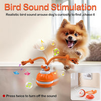 P06 Interactive Dog Toys Dog Balls, Electric Automatic Moving and Rolling Dog Toy with Rope for Small Medium Dogs, Fun Smart Puppy Toy S for Boredom & Training, Dog Toys to Keep Them Busy (Orange) | Auto-Moving Puppy Toys, 3 Modes with RGB Lights & Bird Sounds, Bite-Resistant Rope, IP54 Waterproof, Type-C Fast Charge