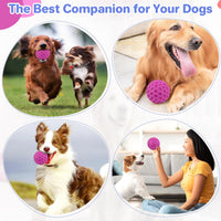 Indestructible Squeaky Dog Balls, Dog Toys for Aggressive Chewers Large Breed for Relieving Anxiety, Tough Dog Chew Toys Balls for Aggressive Chewers, Outdoor Squeaky Cognitive Dog Toys