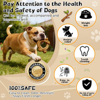 2 Pack Dog Chew Toys for Aggressive Chewers,Indestructible Dog Toy for Medium Large Dogs, Chew Toys to Keep Dogs Busy,Super Chewer with Tough Nylon, Reduce Boredom & Anxiety
