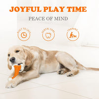 Indestructible Dog Toys for Aggressive Chewers: Peanut Butter Flavored Hard Nylon Bone Chew Toys, Tough Dog Chew Toys for Large Dogs, Dog Toys to Keep Them Busy for Medium Large Breed, Orange