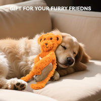 No Stuffing Dog Toys 5 Pack, Crinkle Interactive Dogs Toy for Boredom, Puppy Toys for Teething to Keep Them Busy, Cute Squeaky Dogs Toy for Small, Medium, and Large Breed