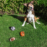 Sports Balls, Dog Toy with Squeakers, 3 Pack: Football, Soccer, Basketball
