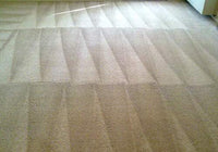 Capture Carpet Cleaner Kit 40 Oz Stain Remover Deodorizer Safe for All Carpets