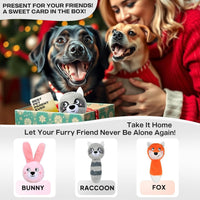 Squeaky Dog Toys for Aggressive Chewers, 3 in 1, Tough Dog Ball | Dog Chew Toys with 3 Layers, to Keep Them Busy, Interactive for Small, Medium and Large Dogs, Gift Box, Raccoon