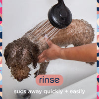Anti-Itch Dog Shampoo with Two-Way Spray, Honey Oat Blossom, 16Oz