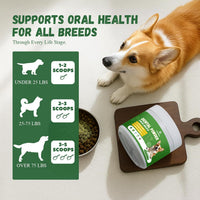 Dog Teeth Cleaning Powder, Dog Dental Powder for Teeth Cleaning and Dog Breath Fresh for Dogs with Probiotic & Tartar Remover, Plaque off Dog Tooth Cleaning (80G)