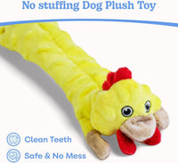 Dog Squeaky Toys 5 Pack, Bubble Plush Puppy Teething Pet Toys, Crinkle No Stuffing Animals Dog Toy, Doggies Chew for Large Small Medium Breeds