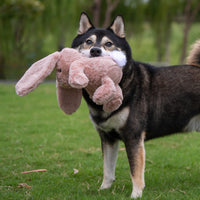 Bunny Buddy Squeaky Plush Dog Toy - Mauve, Small | Soft Plush, Squeaks & Crinkles, Perfect for Moderate Chewers, Toss & Fetch Play, Stress & Anxiety Reliever, Ideal Gift Toy