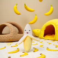 Dog Toys,Squeeze Squeaker Puppy Dog Toys, Plush Dog Chew Toys, Dog Squeak Toys Pet Supplies (Banana)