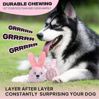 Squeaky Dog Toys for Aggressive Chewers, 3 in 1, Tough Dog Ball | Dog Chew Toys with 3 Layers, to Keep Them Busy, Interactive for Small, Medium and Large Dogs, Gift Box, Bunny