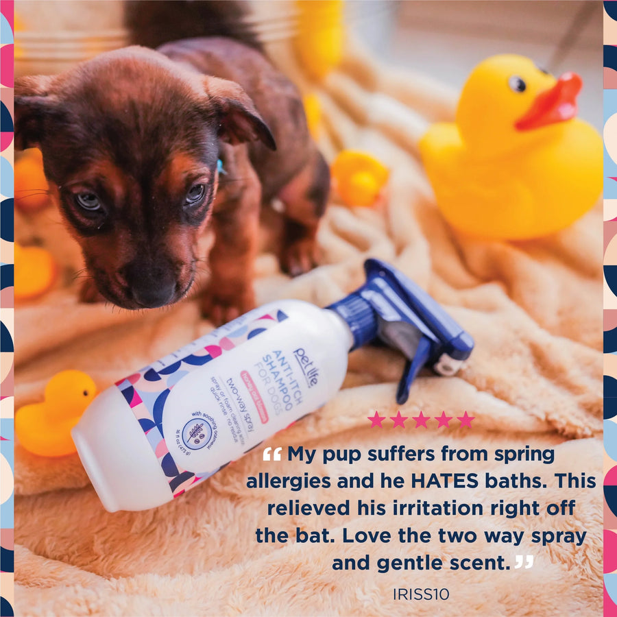 Anti-Itch Dog Shampoo with Two-Way Spray, Honey Oat Blossom, 16Oz